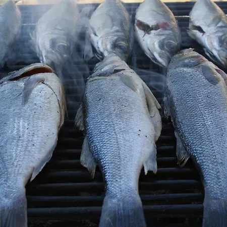 Tonka * Μακάρσκα